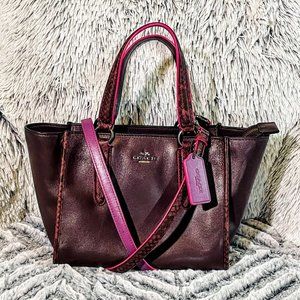 EUC - COACH CROSBY CARRYALL 21 w/EDGEPAINT AND PYTHON EMBOSSED HANDLES (F20894)